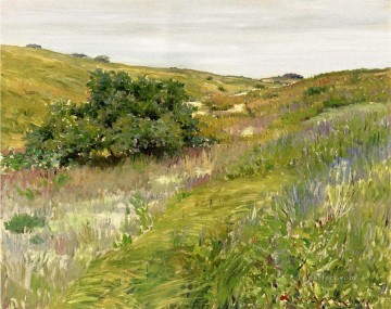  Shin Pintura al %c3%b3leo - Paisaje Shinnecock Hills impresionismo William Merritt Chase